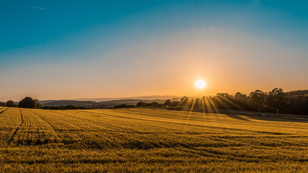 agricultural